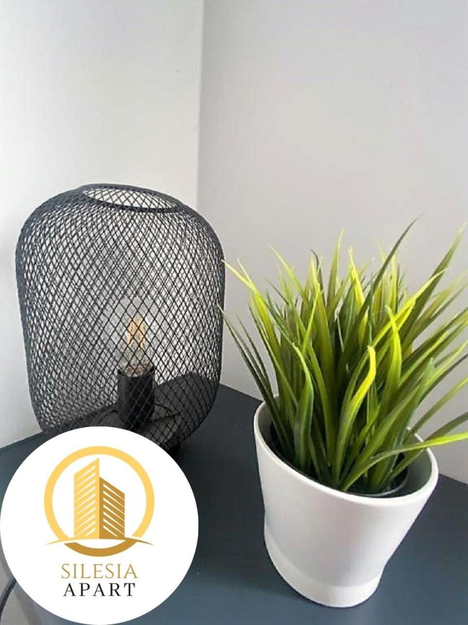 טיצ'י Apartament Ceglany מראה חיצוני תמונה