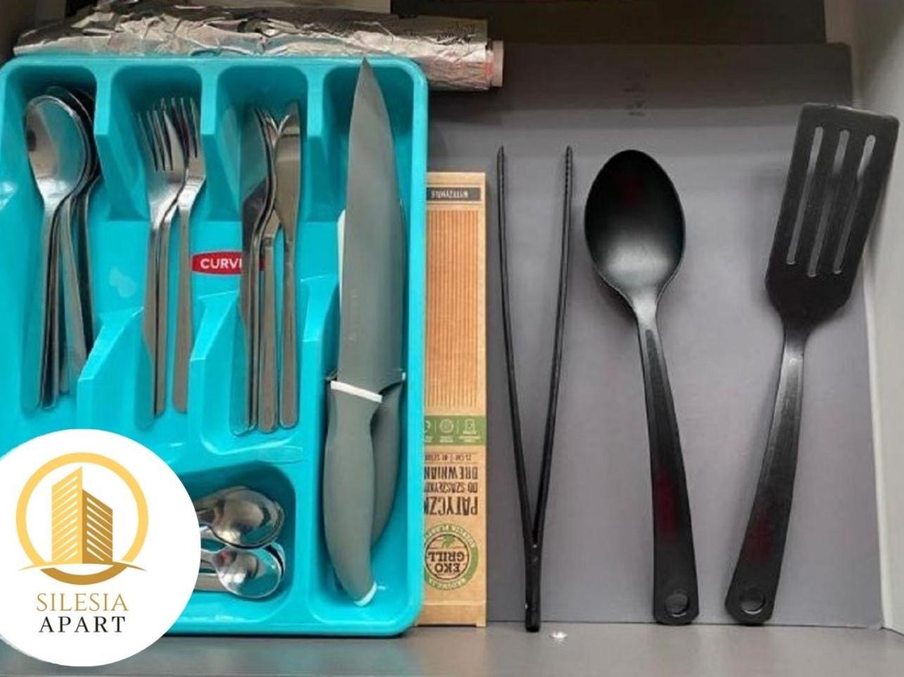 טיצ'י Apartament Ceglany מראה חיצוני תמונה